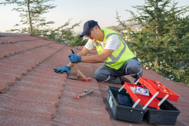 Best Flat Roof Repair Services  in Lake Of The Woods, VA