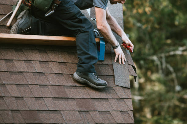 Best Roof Maintenance Services  in Lake Of The Woods, VA