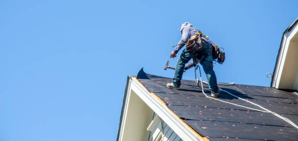 Best Roof Gutter Cleaning  in Lake Of The Woods, VA